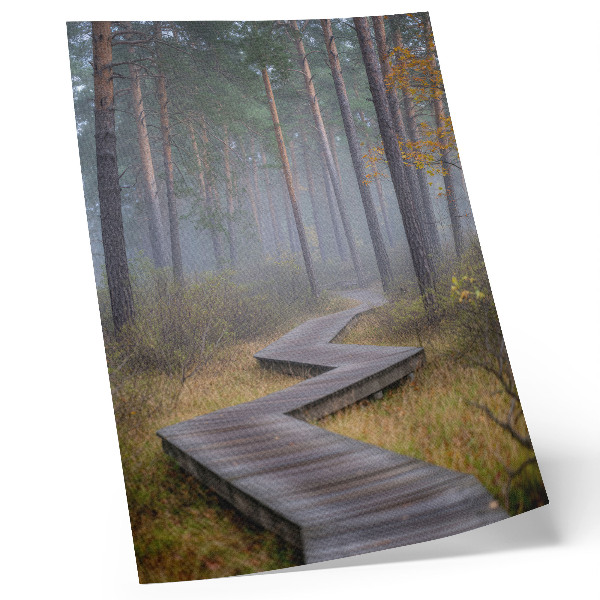 Póster con colores saturados Sendero de madera entre árboles en la niebla