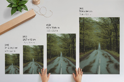 Lienzo decorativo moderno Camino forestal, paz, aventura verde, misterio
