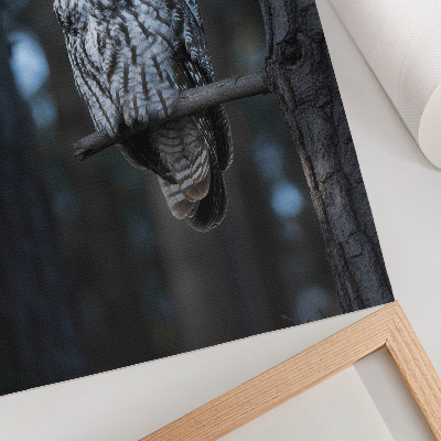 Póster Búho del bosque oscuro bajo los focos