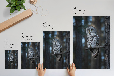 Póster Búho del bosque oscuro bajo los focos