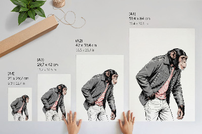 Lámina artística de alta calidad Chimpancé elegante con chaqueta gráfica de contraste