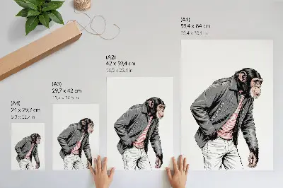 Lámina artística de alta calidad de chimpancé elegante con chaqueta gráfica de contraste
