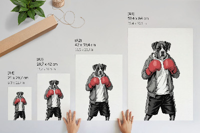 Póster con colores saturados Guantes de boxeo para perros bóxer estilo deportivo