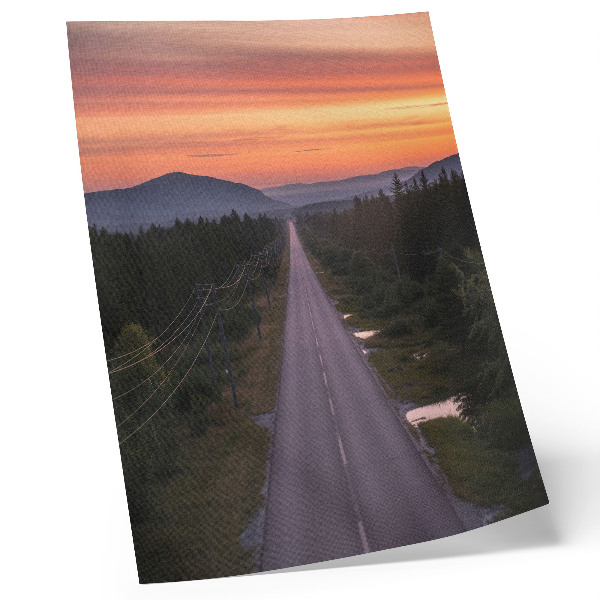 Póster Un camino recto a través del bosque en una puesta de sol de tonos pastel.