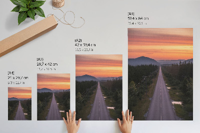 Póster Un camino recto a través del bosque en una puesta de sol de tonos pastel.