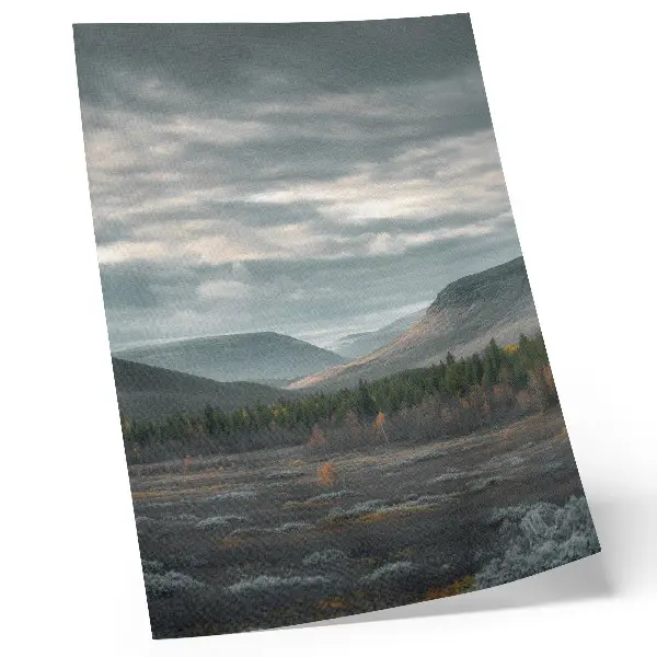 Póster de montañas nubladas con árboles verdes y valle tranquilo en colores saturados