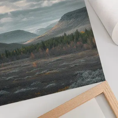 Póster de montañas nubladas con árboles verdes y valle tranquilo en colores saturados
