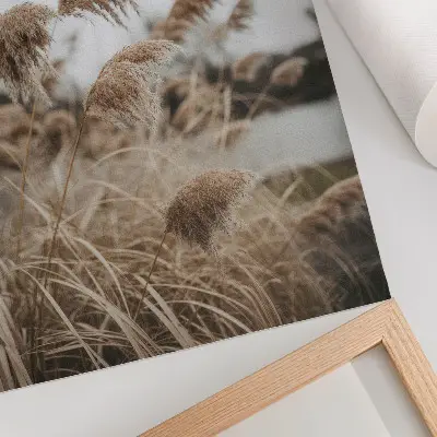 Póster delicadas briznas de hierba en una atmósfera natural de tonos marrón grisáceo