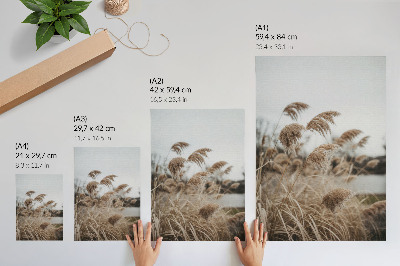 Póster Delicadas briznas de hierba, atmósfera marrón grisácea de la naturaleza.