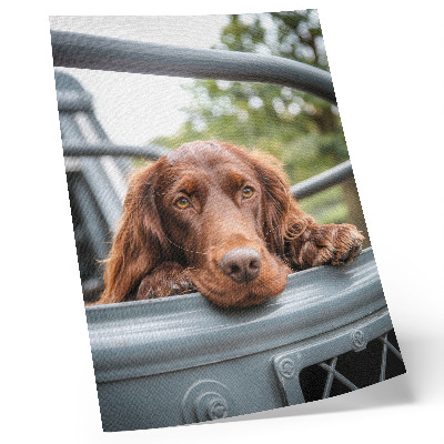 Póster de perro marrón junto al vehículo con árboles verdes con colores saturados