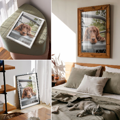 Póster de perro marrón junto al vehículo con árboles verdes con colores saturados