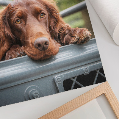 Póster de perro marrón junto al vehículo con árboles verdes con colores saturados