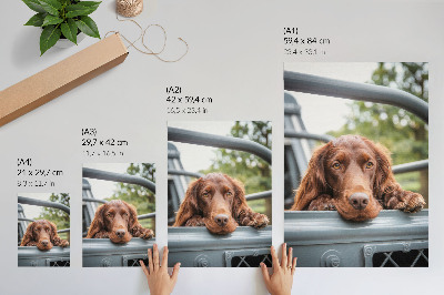 Póster de perro marrón junto al vehículo con árboles verdes con colores saturados