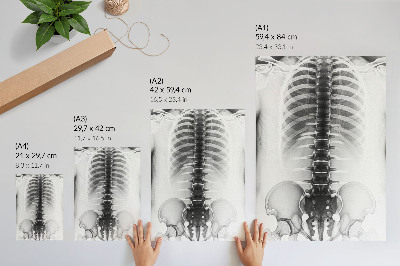 Póster con colores saturados Esqueleto en blanco y negro