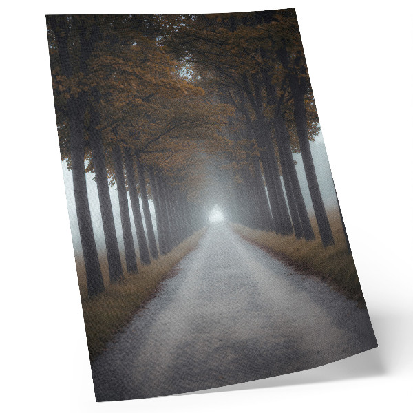 Póster Niebla de callejón otoñal, composición simétrica y armoniosa