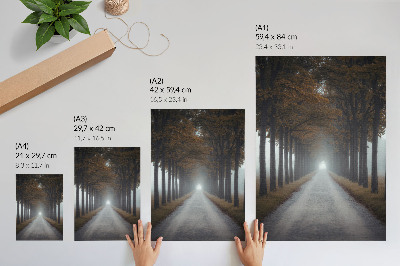 Póster Niebla de callejón otoñal, composición simétrica y armoniosa