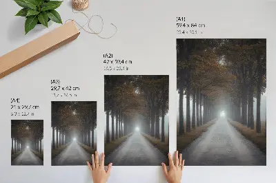 Póster niebla de callejón otoñal con composición simétrica y armoniosa