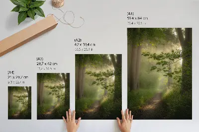 Lámina artística de alta calidad hojas verdes con rayo de luz en un sendero forestal