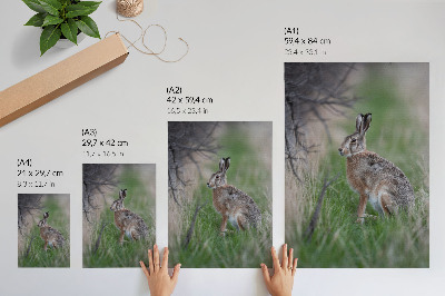 Póster con colores saturados Una liebre en la hierba rodeada de ramas y vegetación.