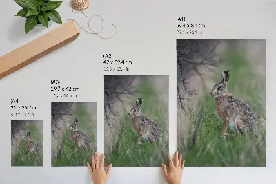 Póster con colores saturados una liebre rodeada de hierba y vegetación