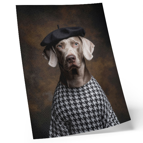 Lienzo decorativo moderno Perro con un chaleco estampado de boina elegante