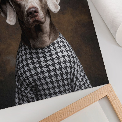 Lienzo decorativo moderno Perro con un chaleco estampado de boina elegante