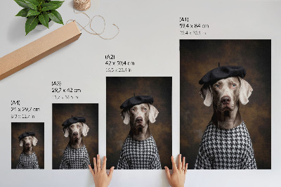 Lienzo decorativo moderno Perro con un chaleco estampado de boina elegante