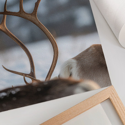 Póster renos con astas en un paisaje invernal armonioso