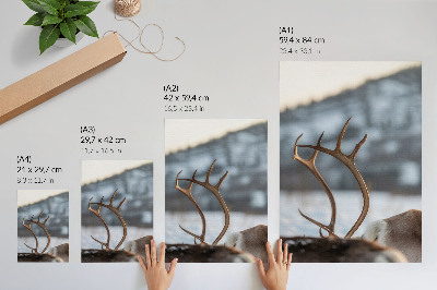 Póster renos con astas en un paisaje invernal armonioso