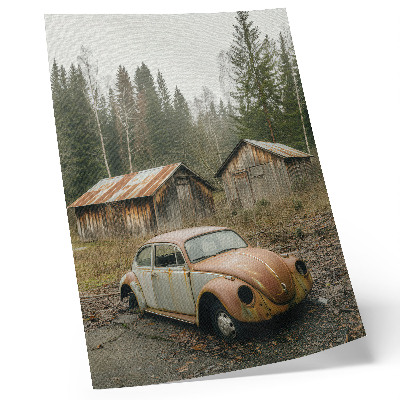 Póster con colores saturados Coche oxidado, cobertizo de madera, bosque verde