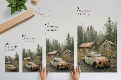 Póster con colores saturados Coche oxidado, cobertizo de madera, bosque verde