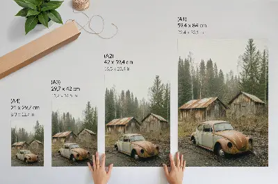 Póster de coche oxidado en cobertizo de madera frente a un bosque verde con colores saturados