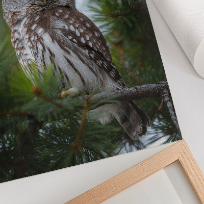 Lienzo decorativo moderno búho sobre una rama de pino que transmite naturaleza, paz y armonía