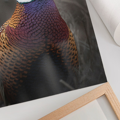 Póster plumas de faisán con colores intensos y diseño de paz