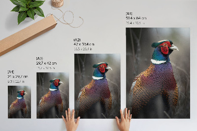 Póster plumas de faisán con colores intensos y diseño de paz