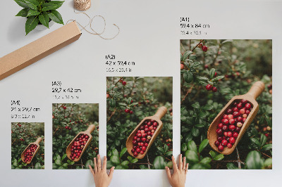 Lienzo decorativo moderno Colores vibrantes de hojas y frutos en una pala de madera