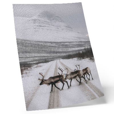 Lámina artística de alta calidad Renos en un camino nevado entre las montañas, fondo invernal.