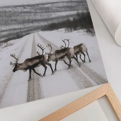 Lámina artística de alta calidad renos en un camino nevado entre las montañas con fondo invernal