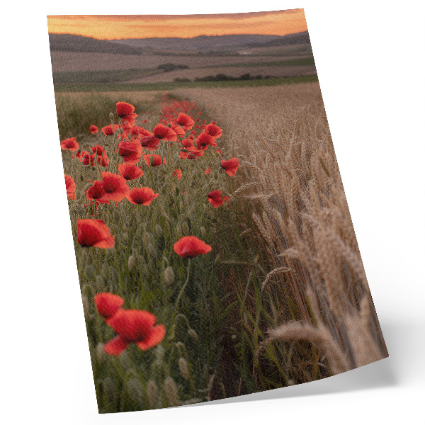 Lienzo decorativo moderno Amapolas puesta de sol armonía de colores de la naturaleza