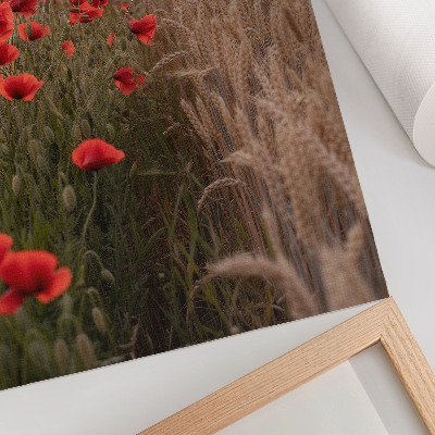 Lienzo decorativo moderno Amapolas puesta de sol armonía de colores de la naturaleza