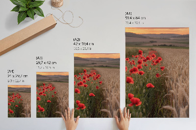 Lienzo decorativo moderno Amapolas puesta de sol armonía de colores de la naturaleza