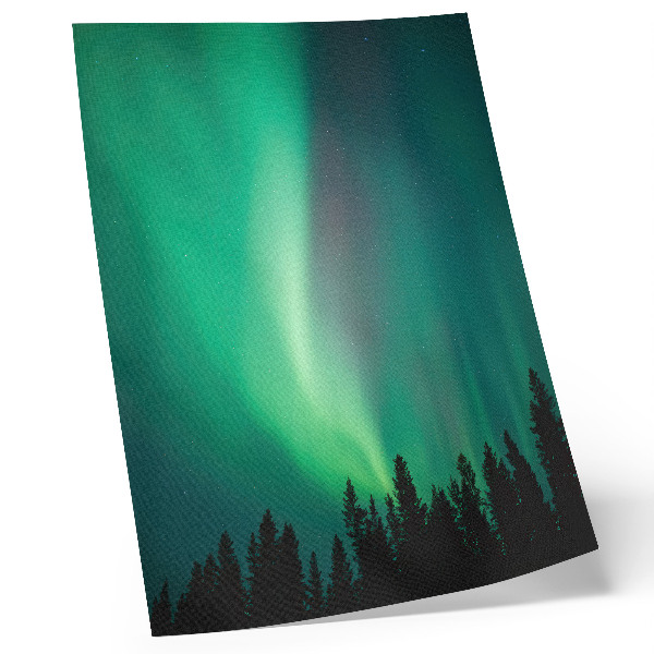 Lienzo decorativo moderno Aurora, árboles verdes, noche, naturaleza mágica