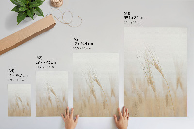 Póster Elegancia minimalista de las espigas de grano