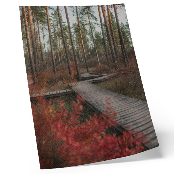 Póster con colores saturados Sendero de madera, árboles del bosque, colores otoñales