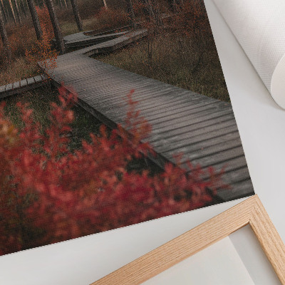 Póster con colores saturados Sendero de madera, árboles del bosque, colores otoñales