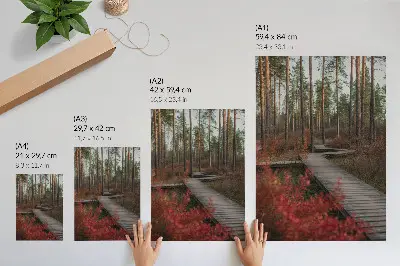Póster de sendero de madera entre árboles diseño de bosque con tonos otoñales en colores saturados
