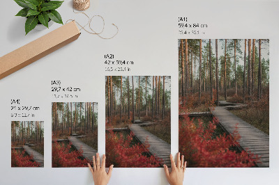 Póster con colores saturados Sendero de madera, árboles del bosque, colores otoñales