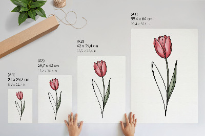 Póster con colores saturados Tulipán rosa, contorno sencillo, ligereza