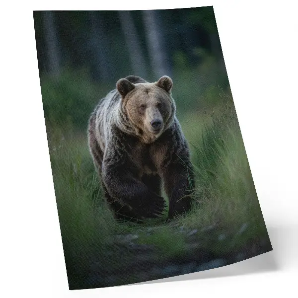 Póster de un oso orgulloso en un entorno forestal