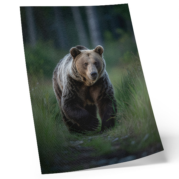 Póster Un oso orgulloso en un entorno forestal